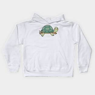 Turtle Kids Hoodie